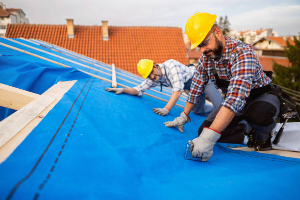 Best Roof Gutter Cleaning  in Fairhope, PA